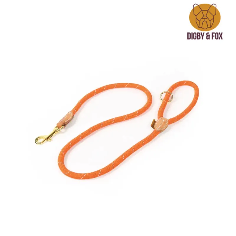 Shires Digby and Fox Reflective Lead - Orange