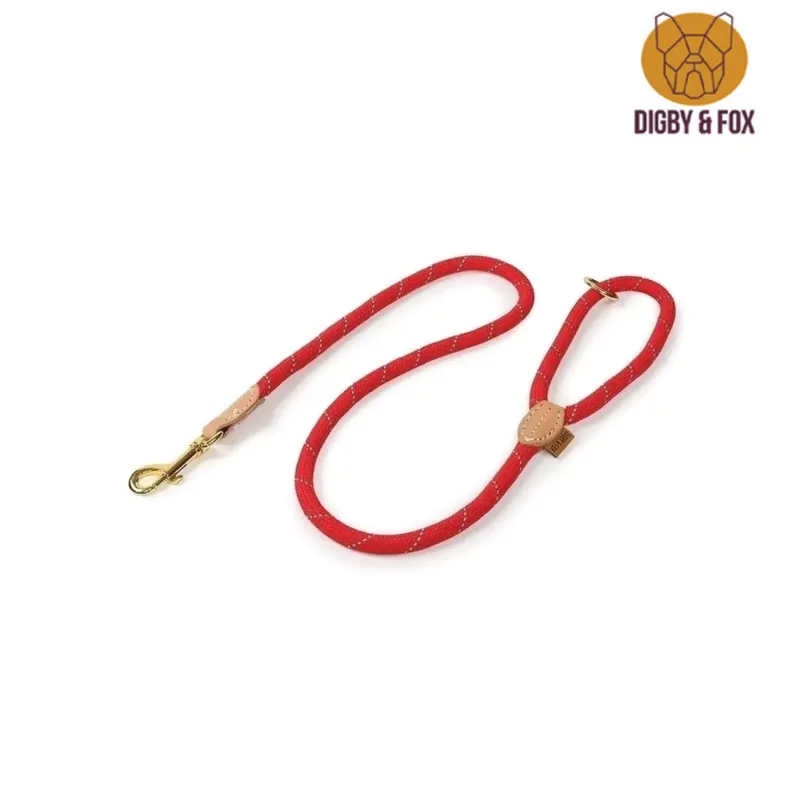 Digby  And Fox Reflective Lead - Red