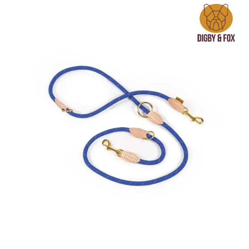 Digby And Fox Reflective Training Lead - Blue