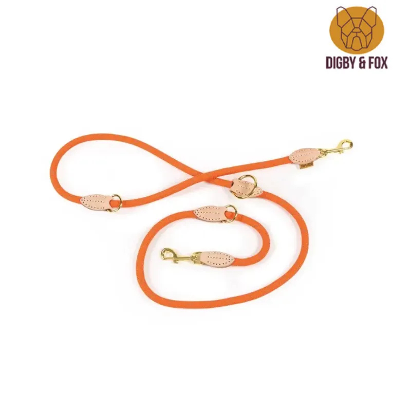 Digby And Fox Reflective Training Lead - Orange