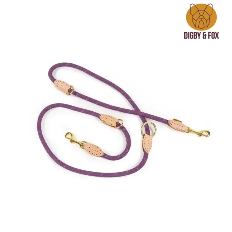 Digby And Fox Reflective Training Lead - Purple
