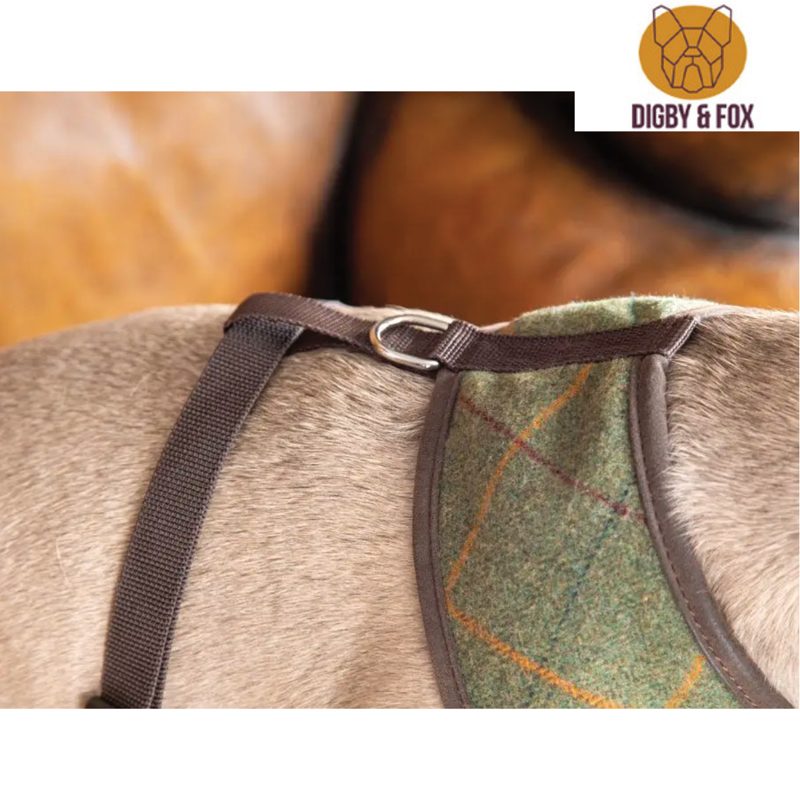 Digby And Fox Tweed Dog Harness - Red/Yellow/Blue Check-1