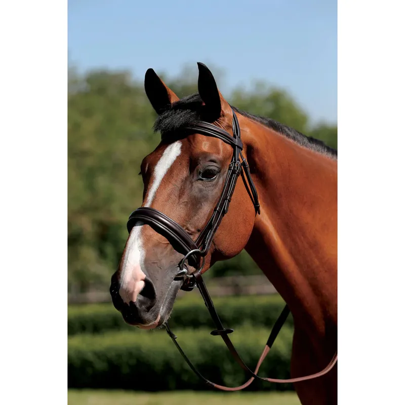 Mark Todd Padded Cavesson Bridle - Black