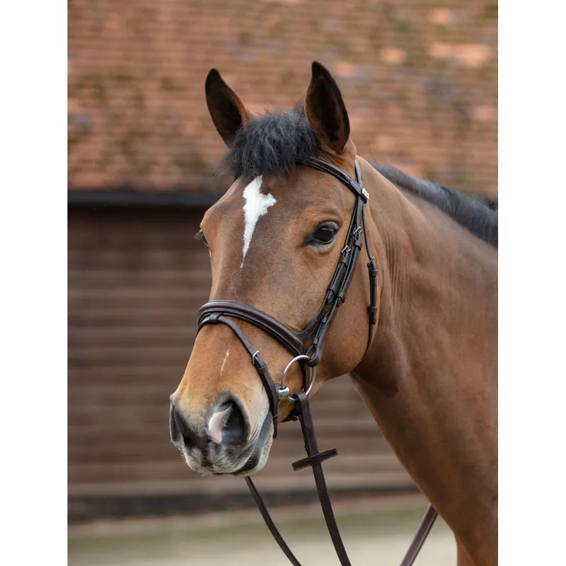 Mark Todd Performance Flash Bridle - Havana