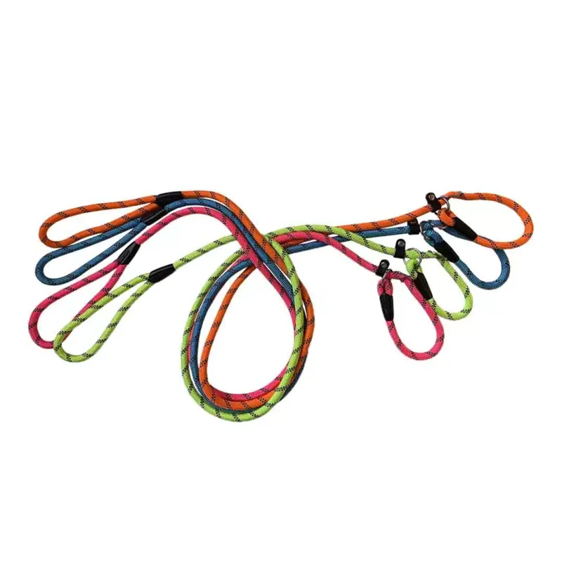 Hem And Boo Slip Reflective Rope Dog Lead - Neon Assorted