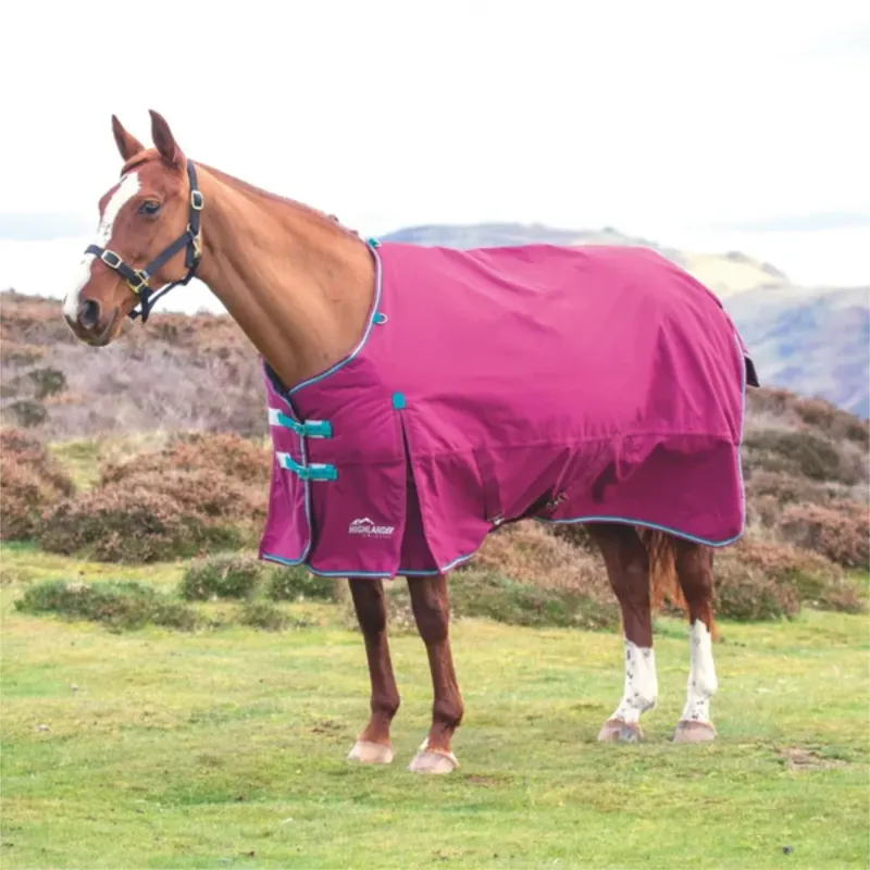Shires Highlander Original 300 Turnout Rug - Raspberry