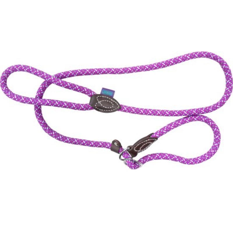 Hem And Mountain Rope Slip Lead - Purple