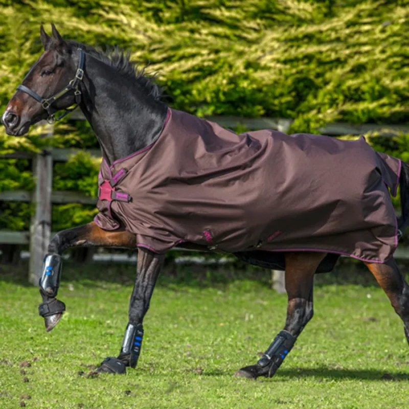 Horseware Amigo Hero ACY Lite Turnout Rug 50g - Chocolate/Cream/Fuchsia
