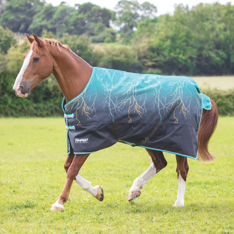 Shires Tempest Original 200 Turnout Rug - Teal Lightening