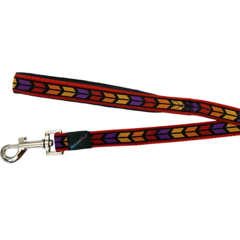 Hem And Boo Chevron Dog Lead - Medium - Bright