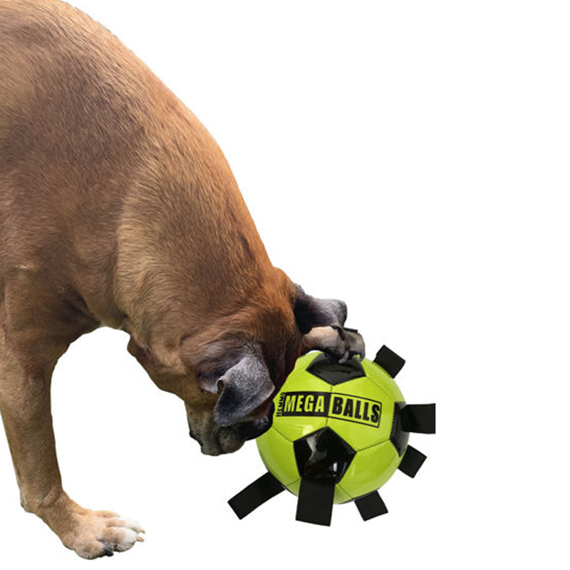 Hem and Boo Pick Me Up Football - 9 inches-1