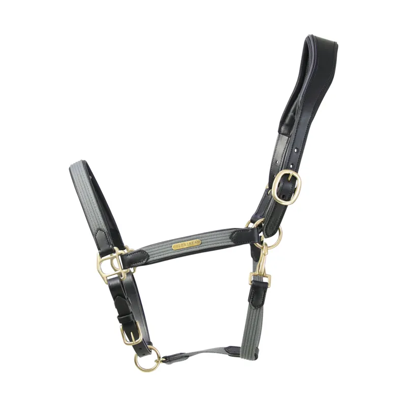 Coldstream Bathan Headcollar - Black/Grey