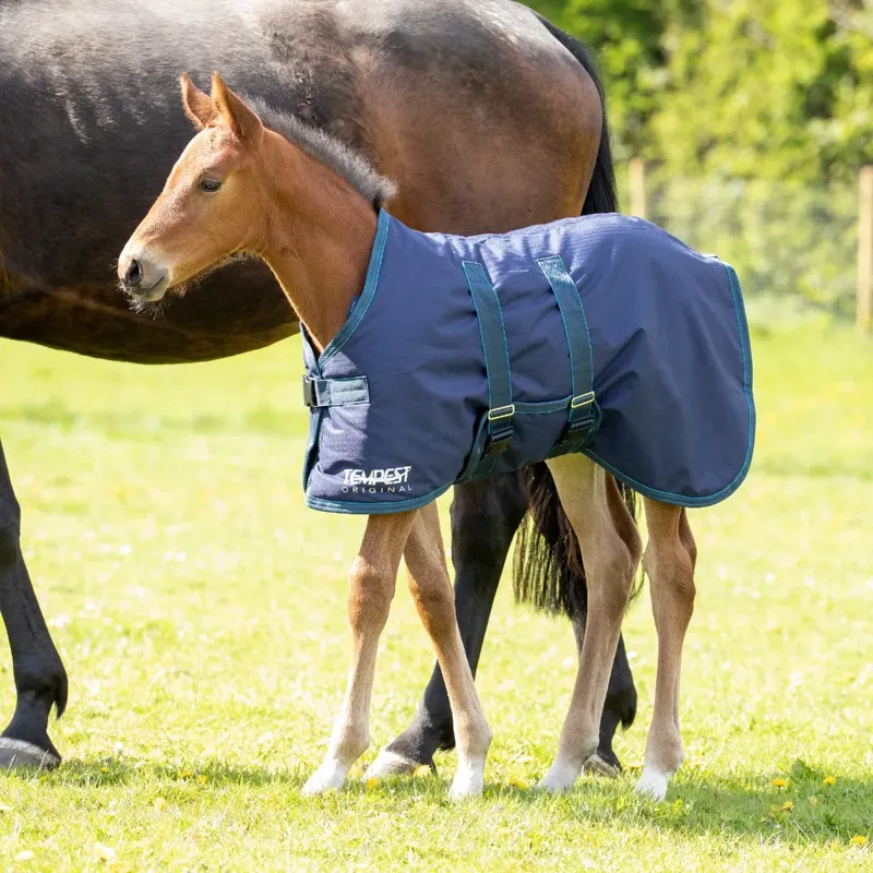 Shires Tempest Original 200 Foal Turnout Rug - Navy/Turquoise