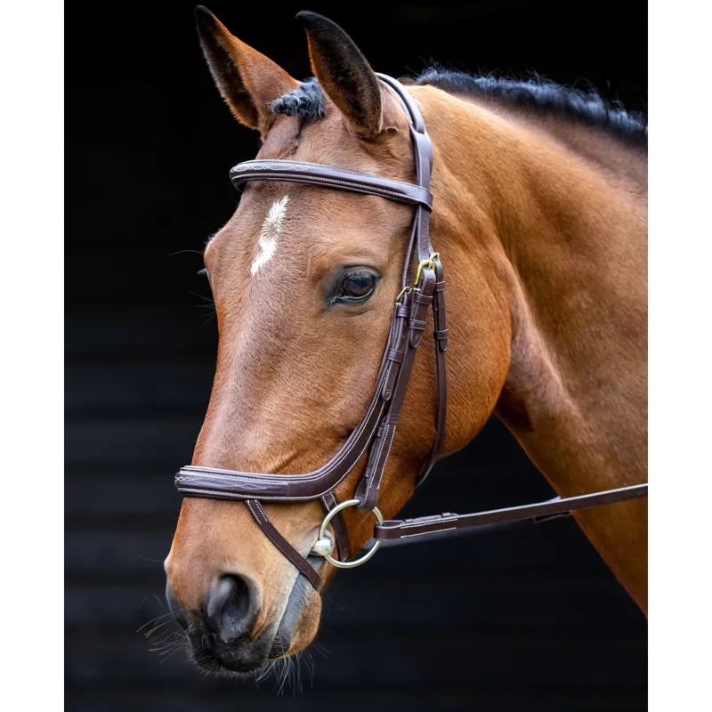 Salisbury Buckingham Bridle - Black