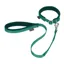 LeMieux Toy Dog Collar and Lead - Evergreen