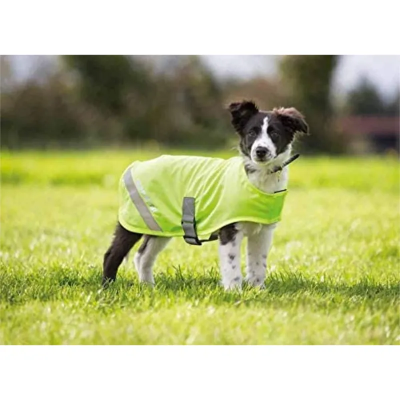 Shires Equi-Flector Dog Safety Vest - Yellow