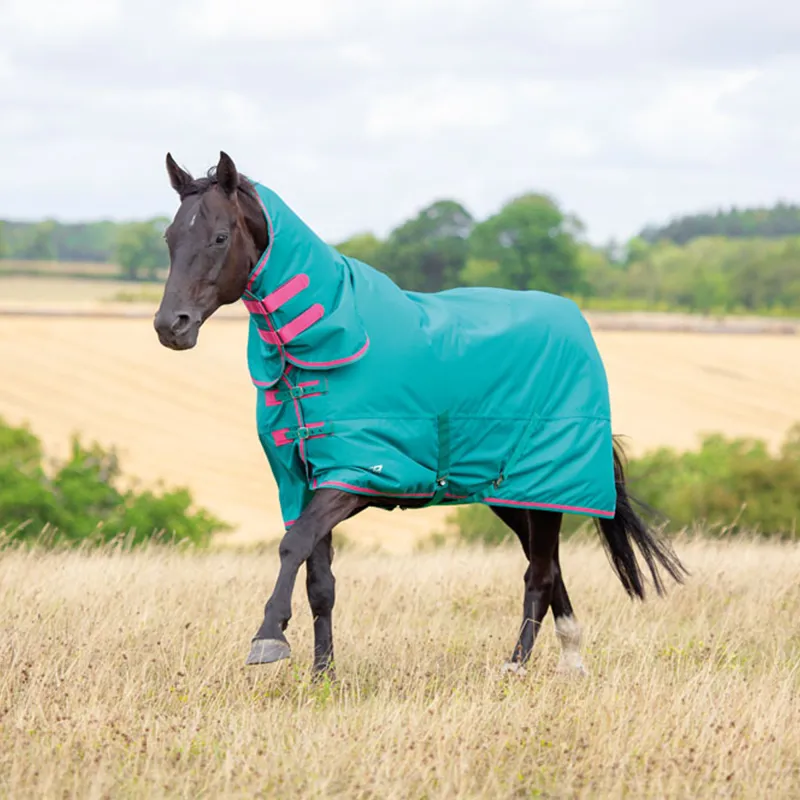 Shires Tempest Original 100 Combo Turnout Rug Green/Pink