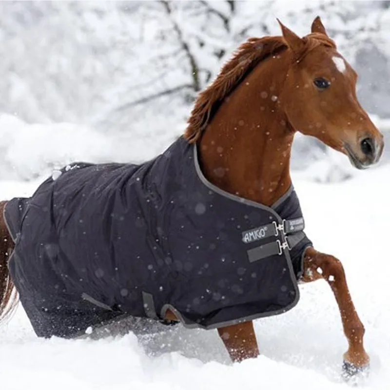 Horseware Amigo Pony Medium Turnout 600D Standard Neck 200g - Excalibur