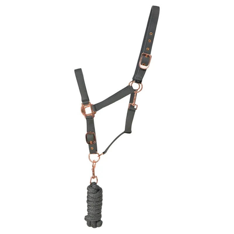 Hy Equestrian Rose Gold Headcollar and Lead Rope - Grey/Rose Gold