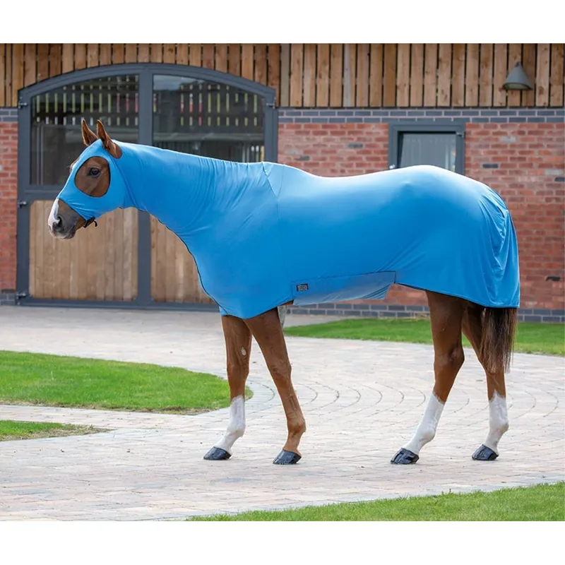 Shires Stretch Rug - Blue