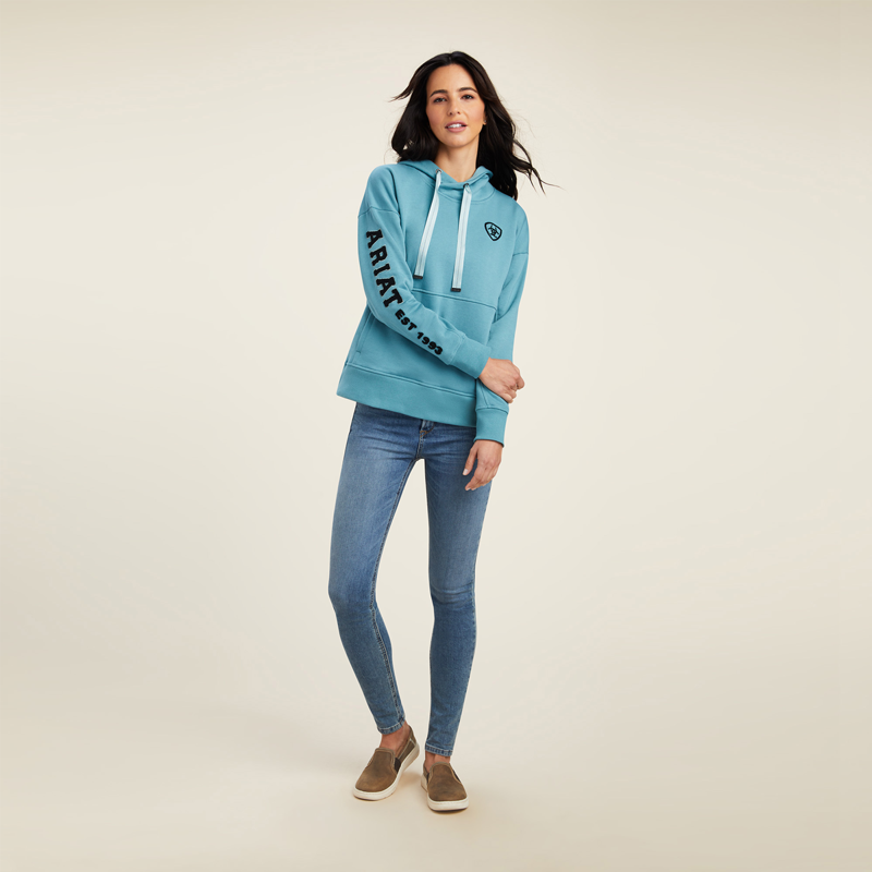 Ariat Women's Rabere Hoodie - Arctic Heather -3