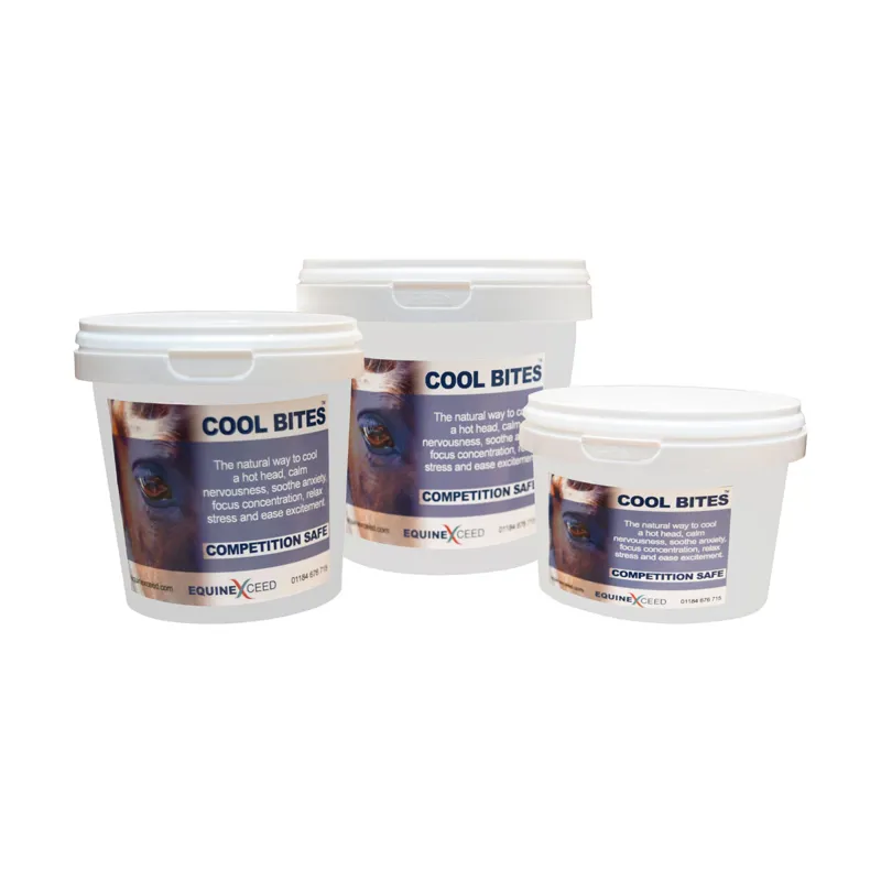 Cool Bites - 10 Bites 