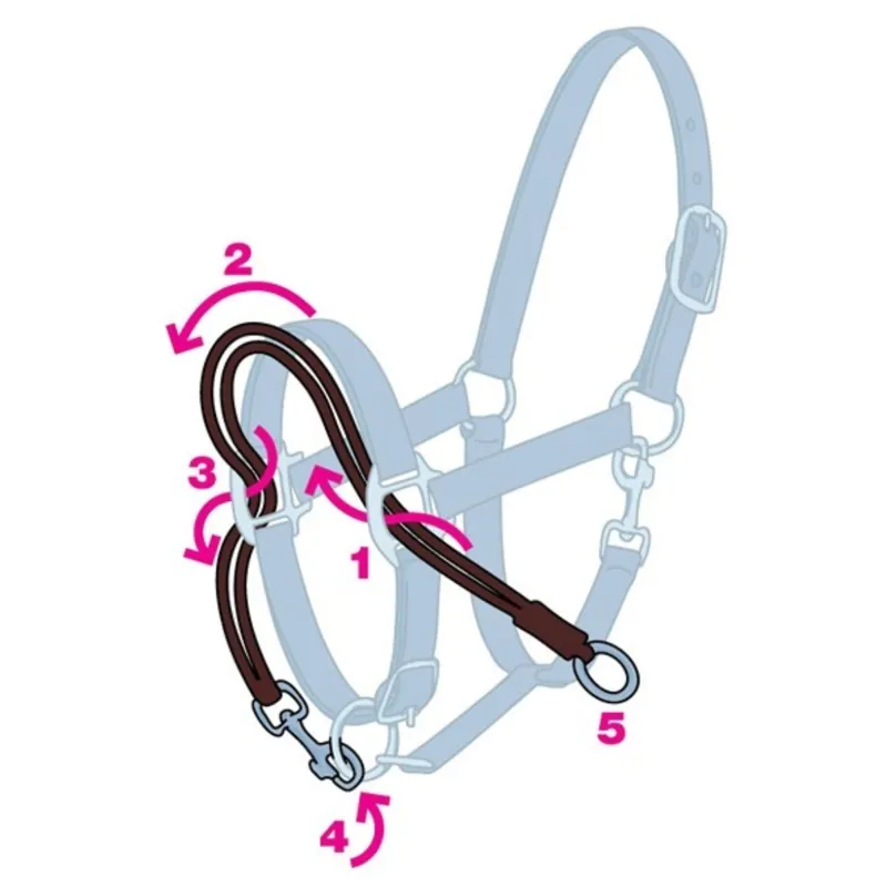 Ezyloader Headcollar Adaptor-2