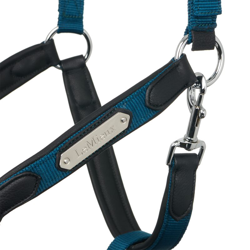 LeMieux Capella Headcollar - Marine-5