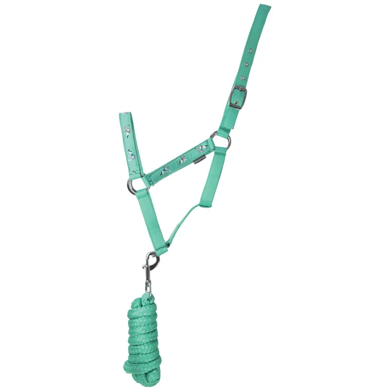 Hy Equestrian Competition Ready Head Collar and Lead Rope - Green/Dark Green/Yellow