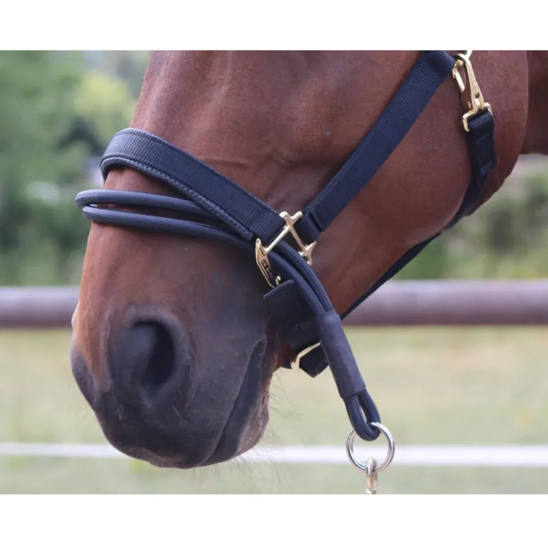 Ezyloader Headcollar Adaptor
