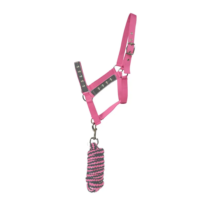Hy Equestrian Merry Go Round Headcollar and Lead Rope - Grey/Pink