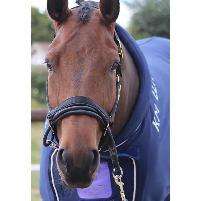 Ezyloader Headcollar Adaptor-1