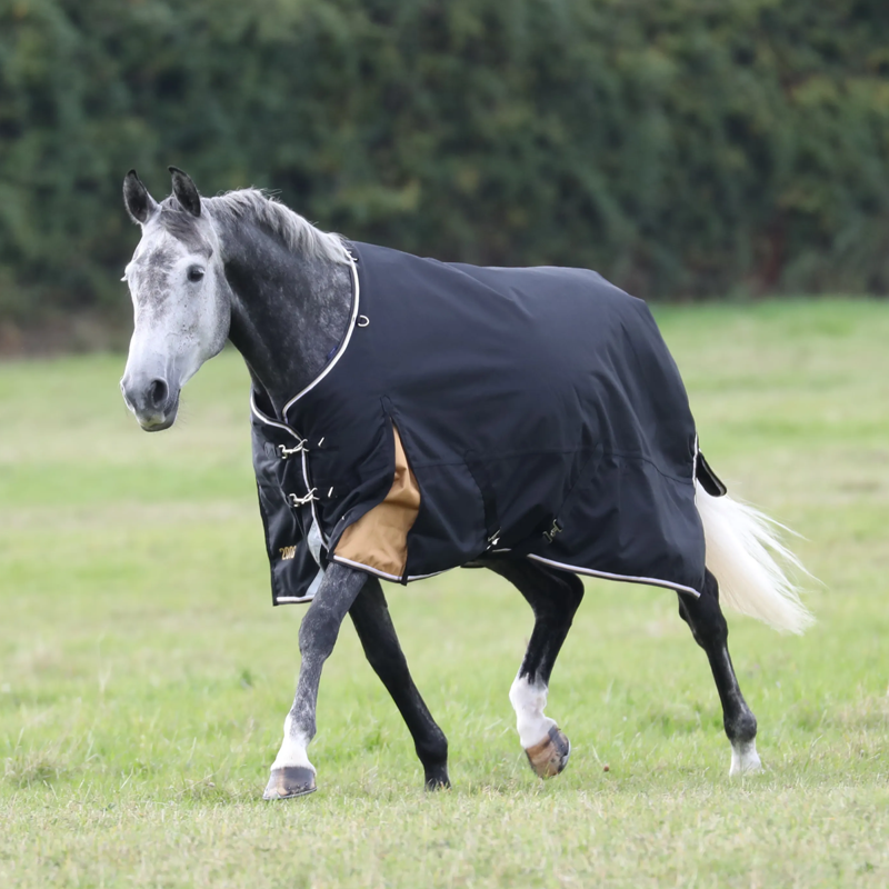 Shires Highlander Plus 200 Turnout Rug - Black-1