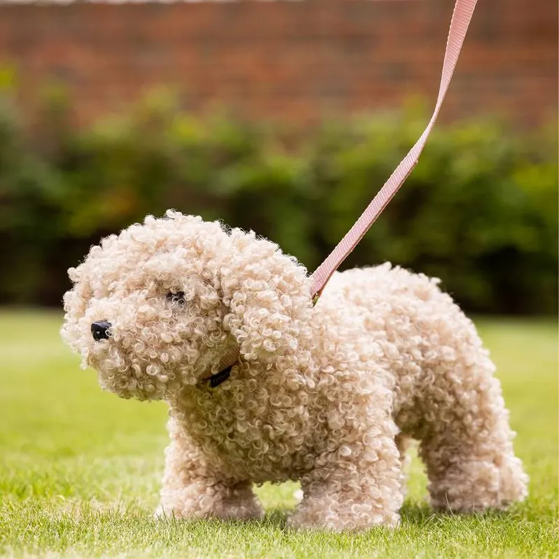 LeMieux Toy Puppy - Chester -1