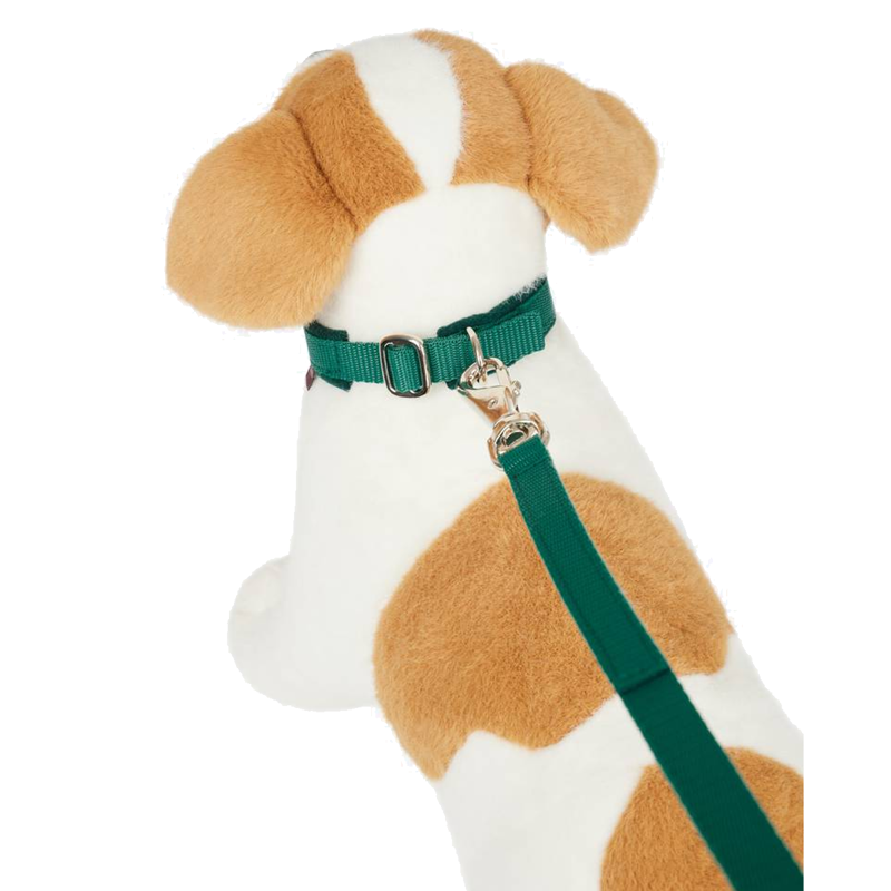 LeMieux Toy Dog Collar and Lead - Evergreen-1