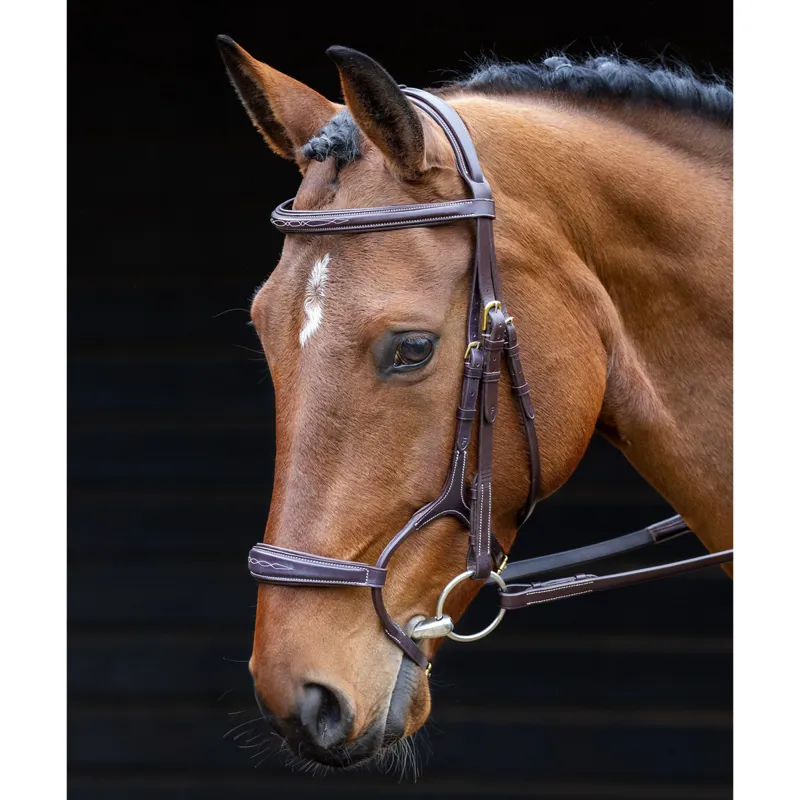 Salisbury Brampton Bridle - Black