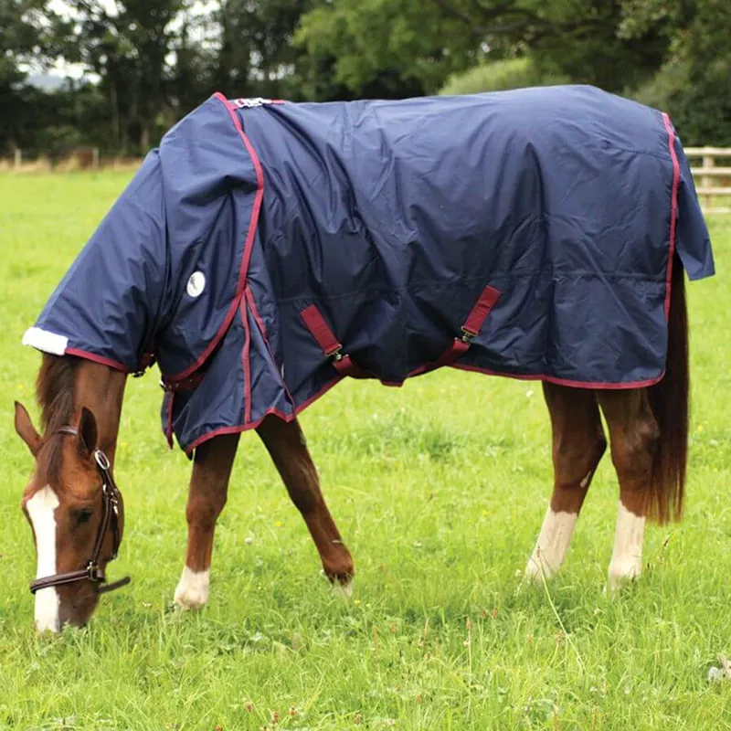 JHl Essential Medium Weight Turnout Rug Navy/Burgundy