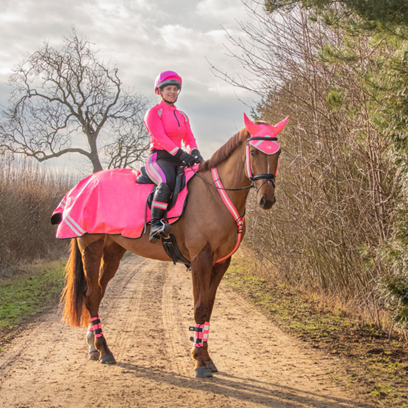 Reflector Ladie's Base Layer by Hy Equestrian - Pink-2