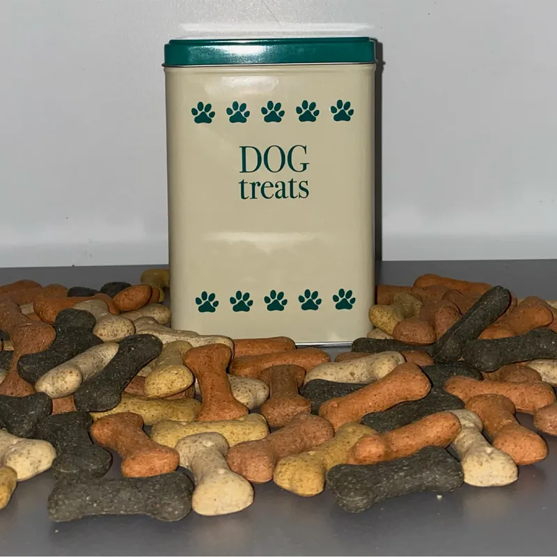 Companion Munch And Crunch Dog Treats 350g