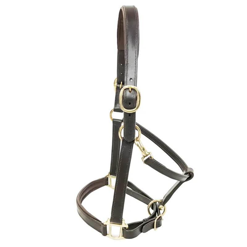 KM Elite Padded Leather Headcollar - Havana