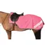 Reflector Mesh Exercise Sheet by Hy Equestrian - Pink