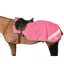 Hy Equestrian Reflector Mesh Exercise Sheet - Pink