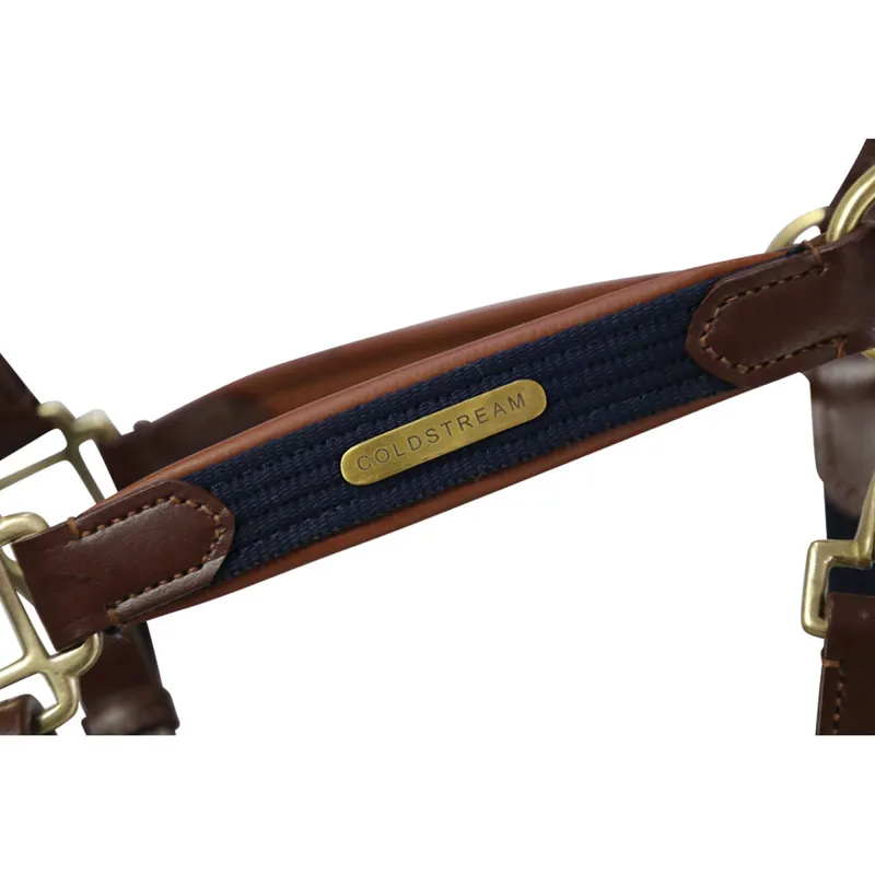 Coldstream Bathan Headcollar - Tan/Navy-1