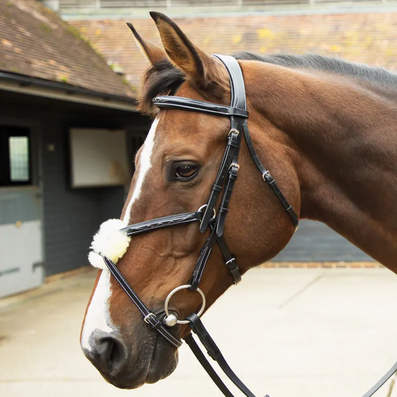 KM Elite Leather Grackle Bridle - Black