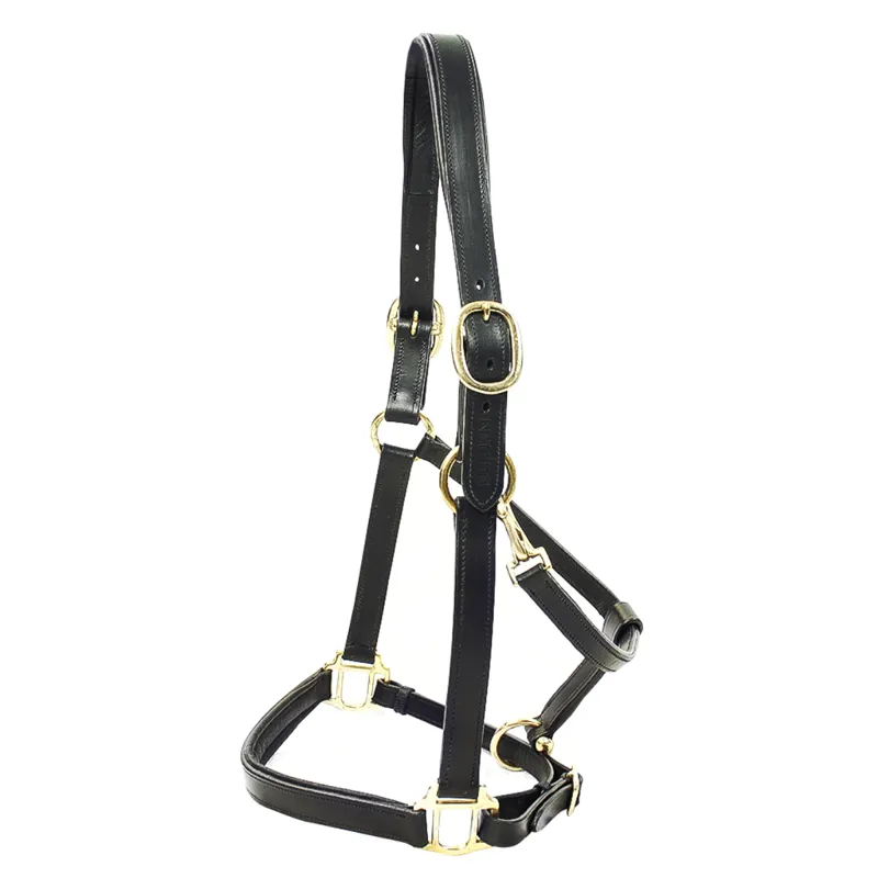 KM Elite Padded Leather Headcollar - Black