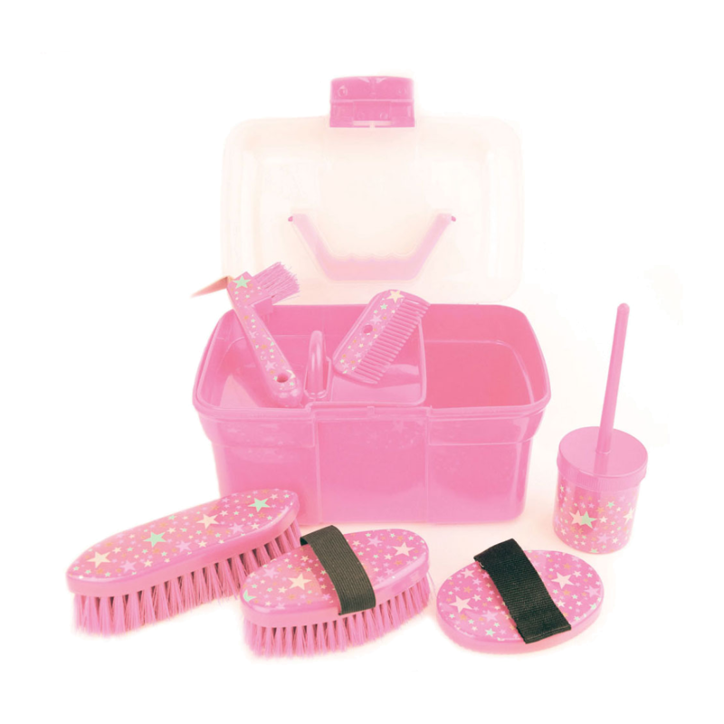 Lincoln Star Pattern Grooming Kit - Pink