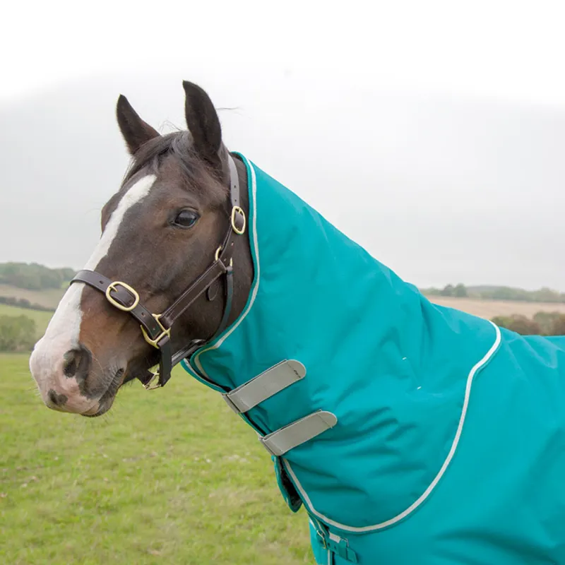 Shires Tempest Plus 200g Turnout Neck Cover - Teal