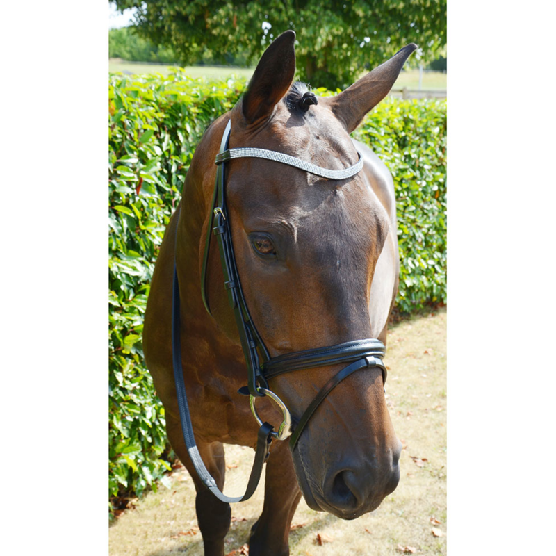 Hy Equestrian Diamond Flash Bridle with Rubber Reins - Black-2