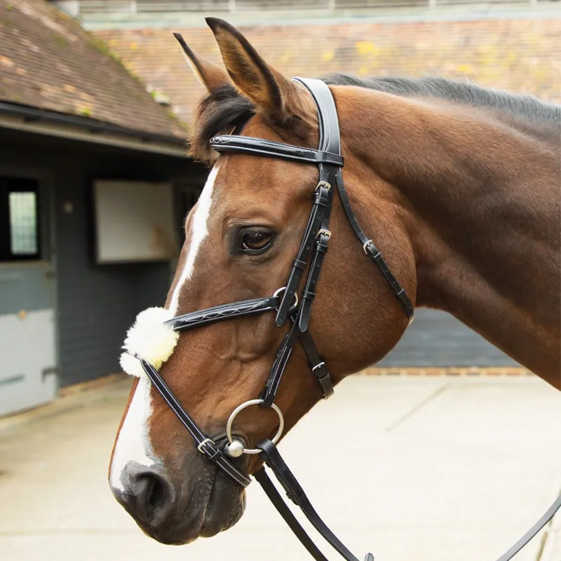 KM Elite Leather Grackle Bridle - Havana