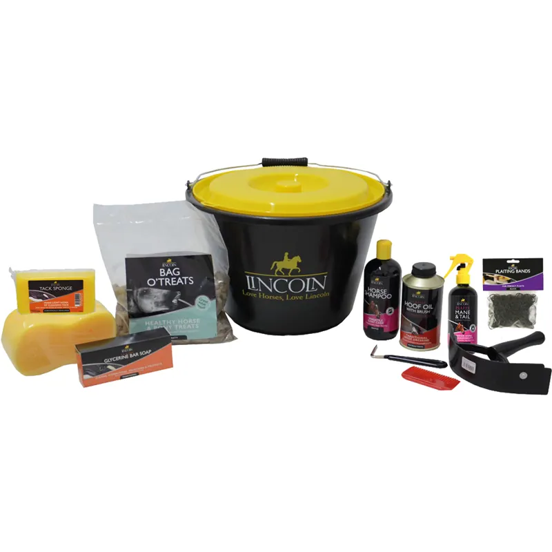 Lincoln Starter Bucket